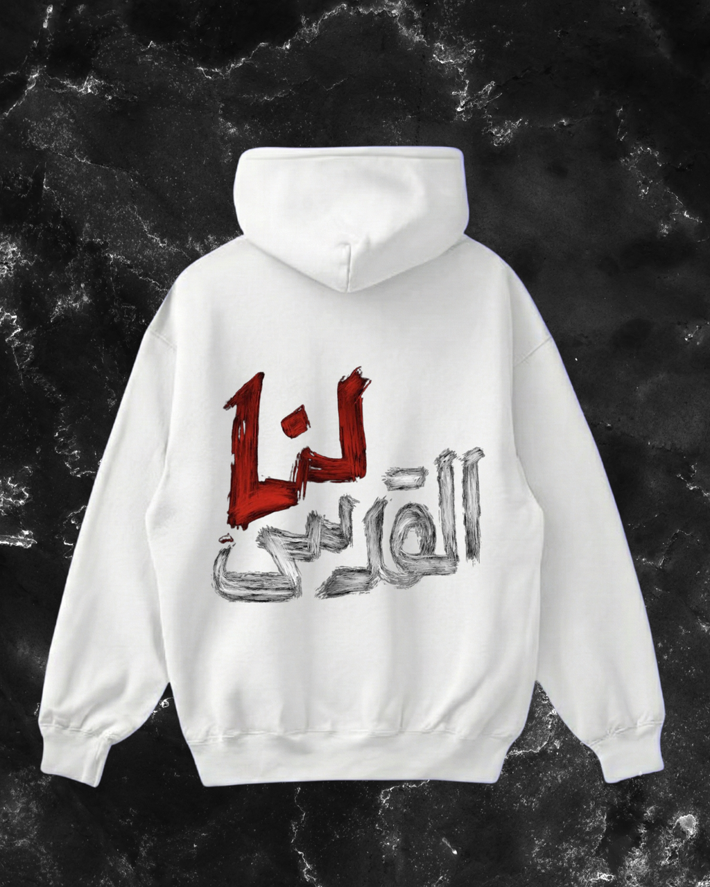 Palestine hoodie v2