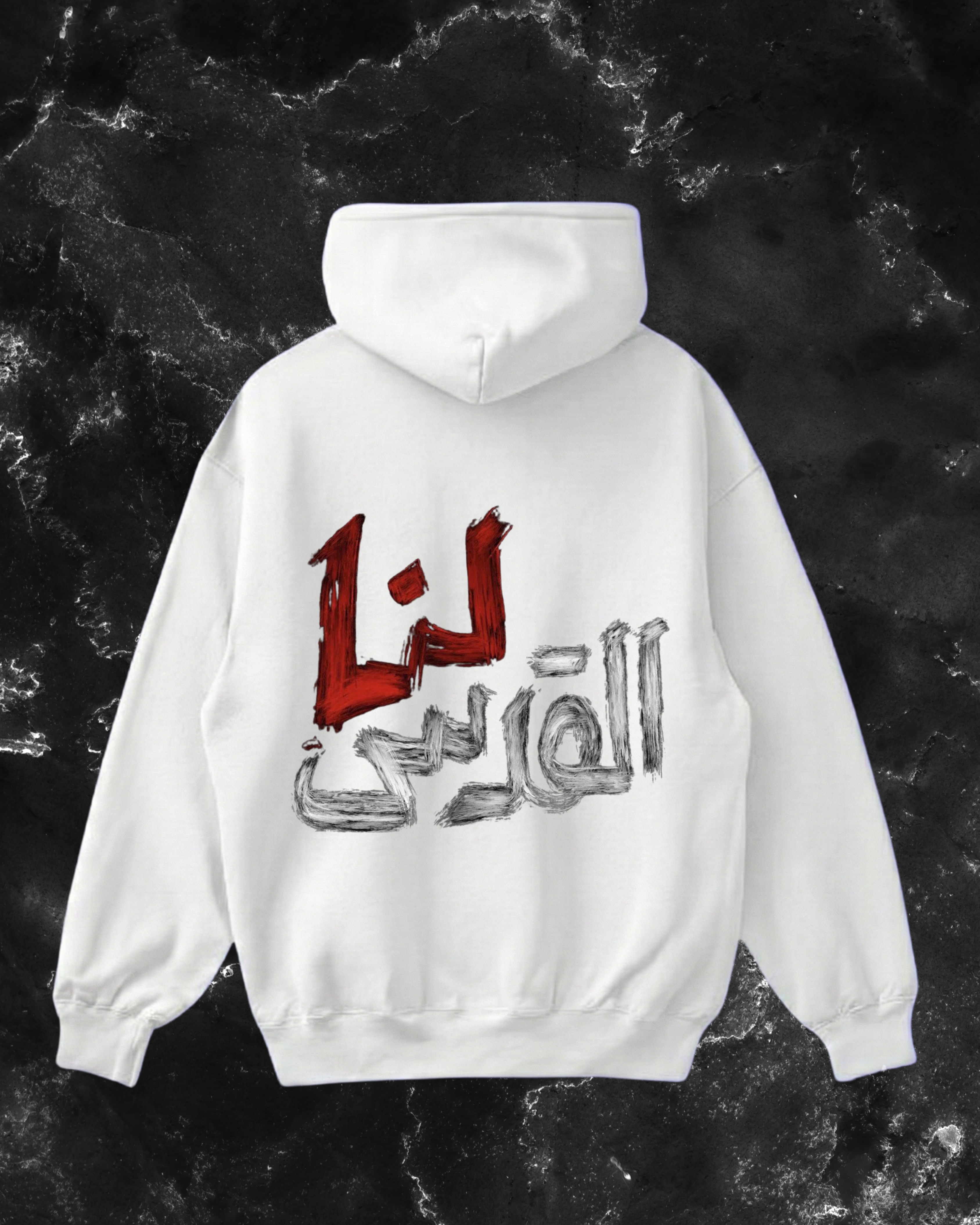 Palestine hoodie v2